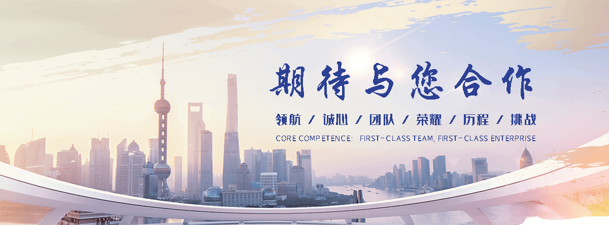阿克苏地海狮租赁公司